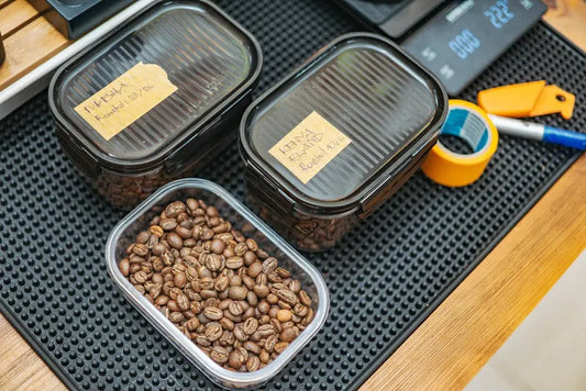 A Guide to Storing Fresh Beans for Maximum Flavor