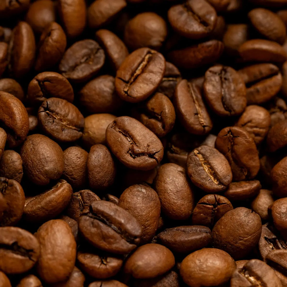 Close-up of roasted coffee beans showcasing their rich brown texture and detailed surface.